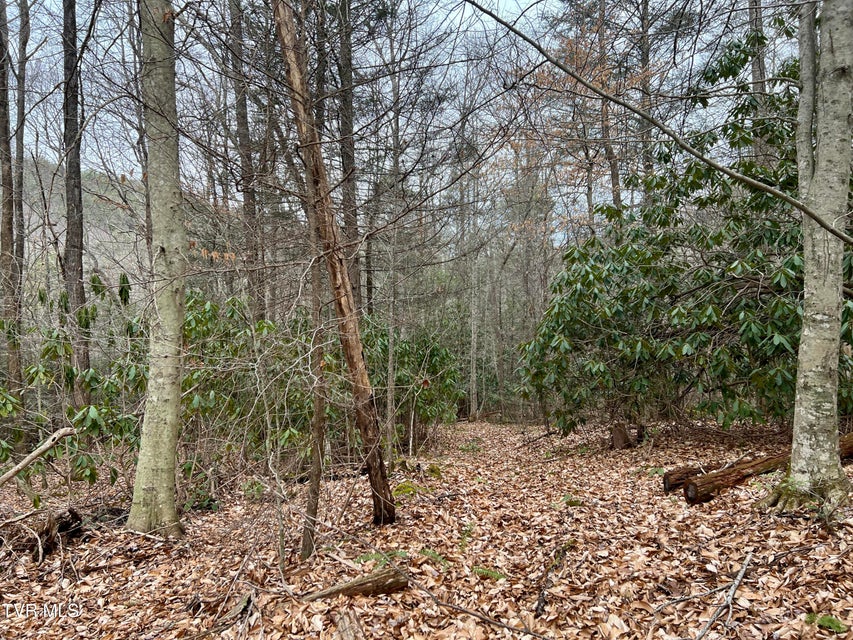 Photo #10: 22.83/Ac Tbd Sciota Road