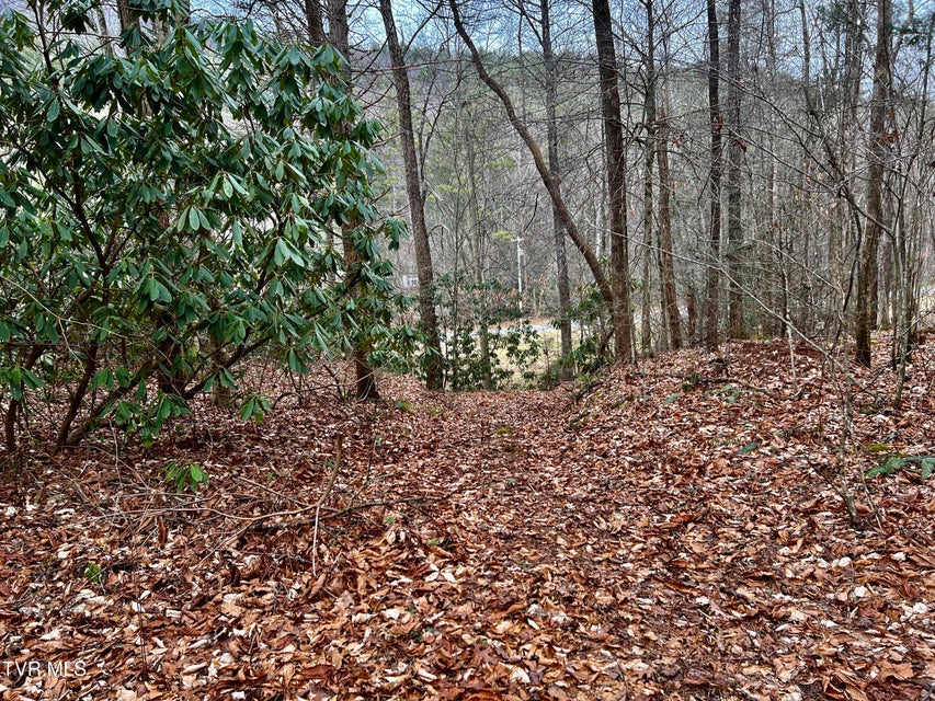 Photo #9: 22.83/Ac Tbd Sciota Road