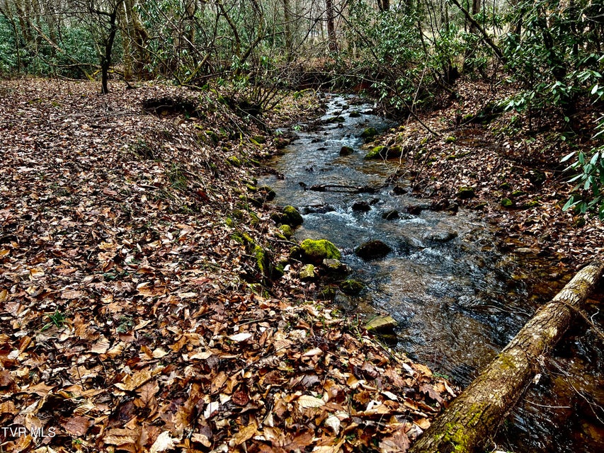 Photo #7: 22.83/Ac Tbd Sciota Road