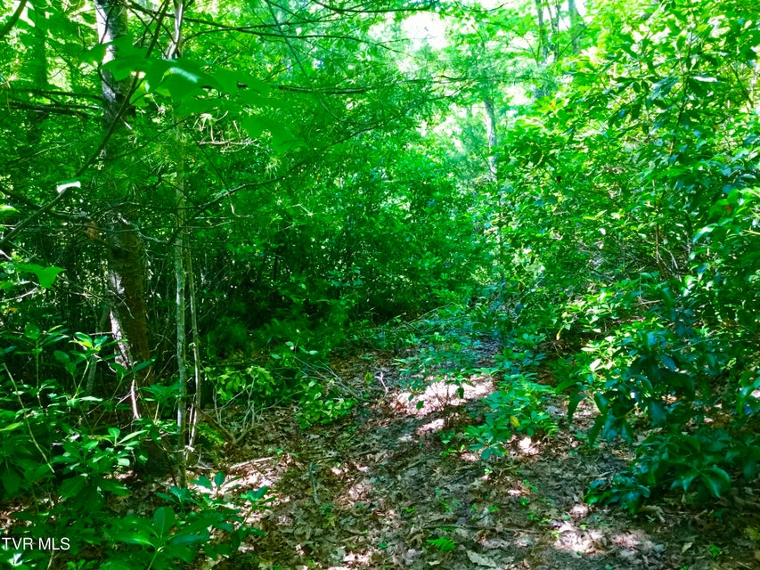 Photo #5: 22.83/Ac Tbd Sciota Road