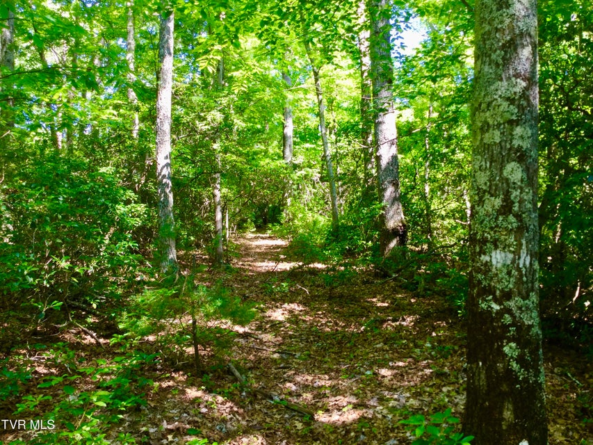 Photo #3: 22.83/Ac Tbd Sciota Road