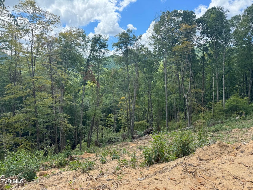 Photo #11: 221 Shell Creek Road