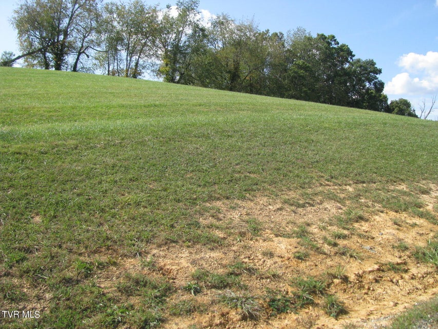 Photo #7: Lot 33 Vineyard Farms Parkway