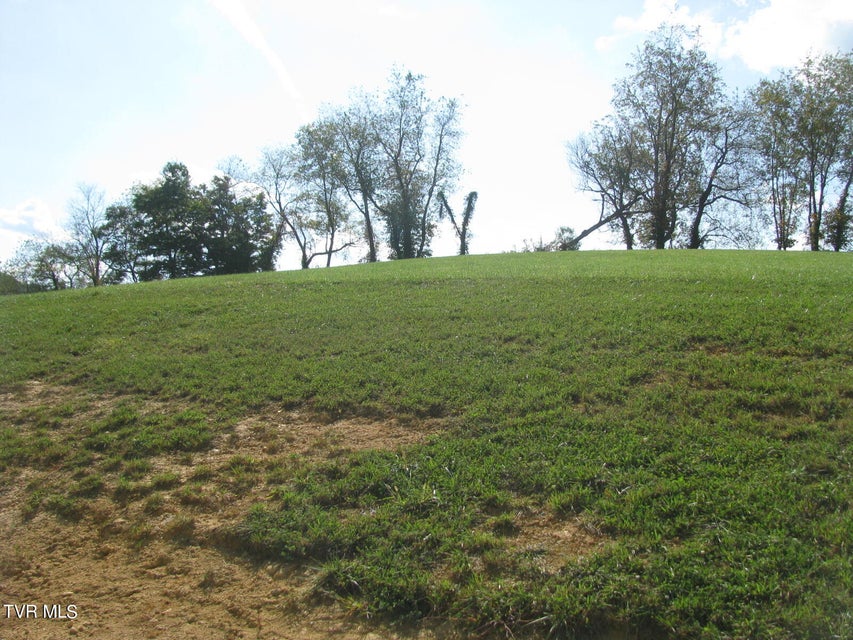 Photo #8: Lot 33 Vineyard Farms Parkway