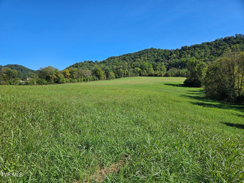 Photo #5: Tbd Caney Creek Road