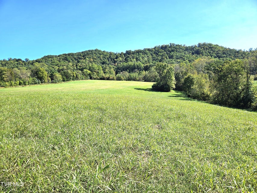 Photo #6: Tbd Caney Creek Road