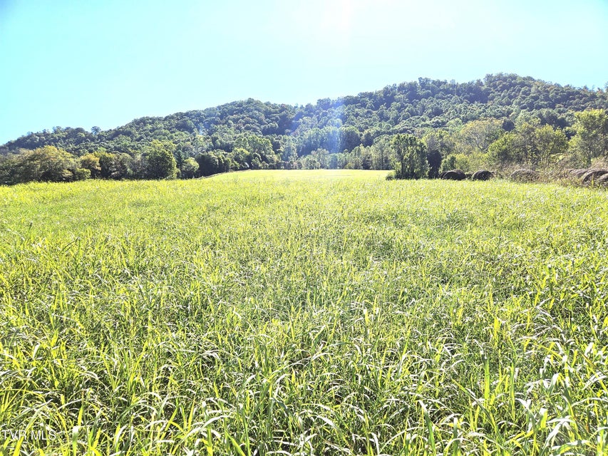 Photo #14: Tbd Caney Creek Road