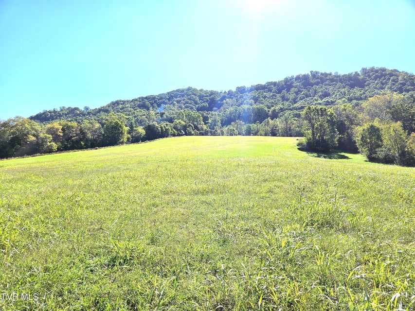 Photo #15: Tbd Caney Creek Road