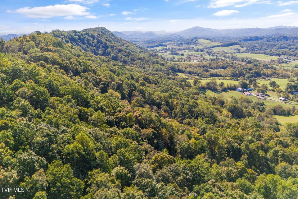 Photo #29: Tbd Caney Creek Road