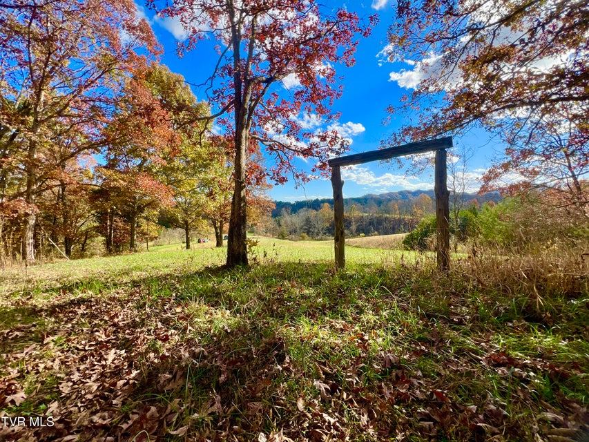 Photo #7: 7084 Lone Star Road
