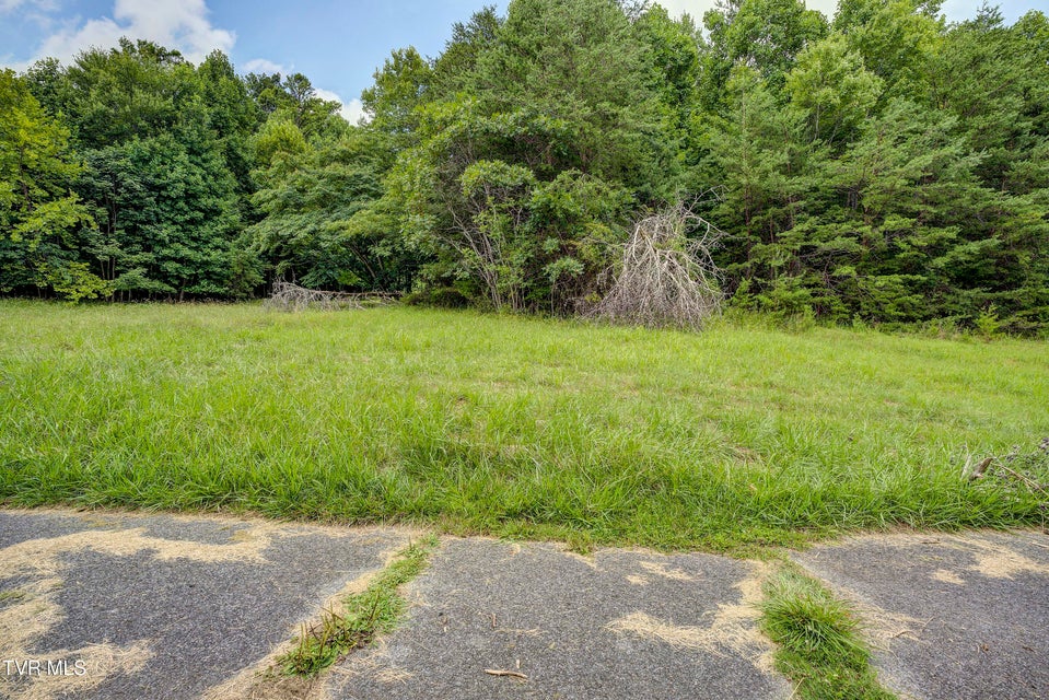 Photo #2: Tbd Arrowhead Circle