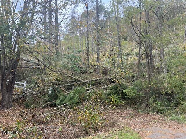 Photo #20: Tbd Roan Creek Road