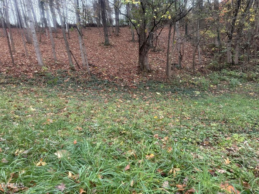 Photo #3: 126 Maple Crest