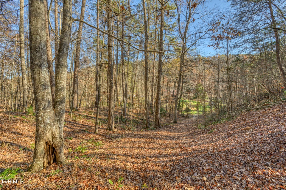 Photo #21: 697 Fishers Creek Road