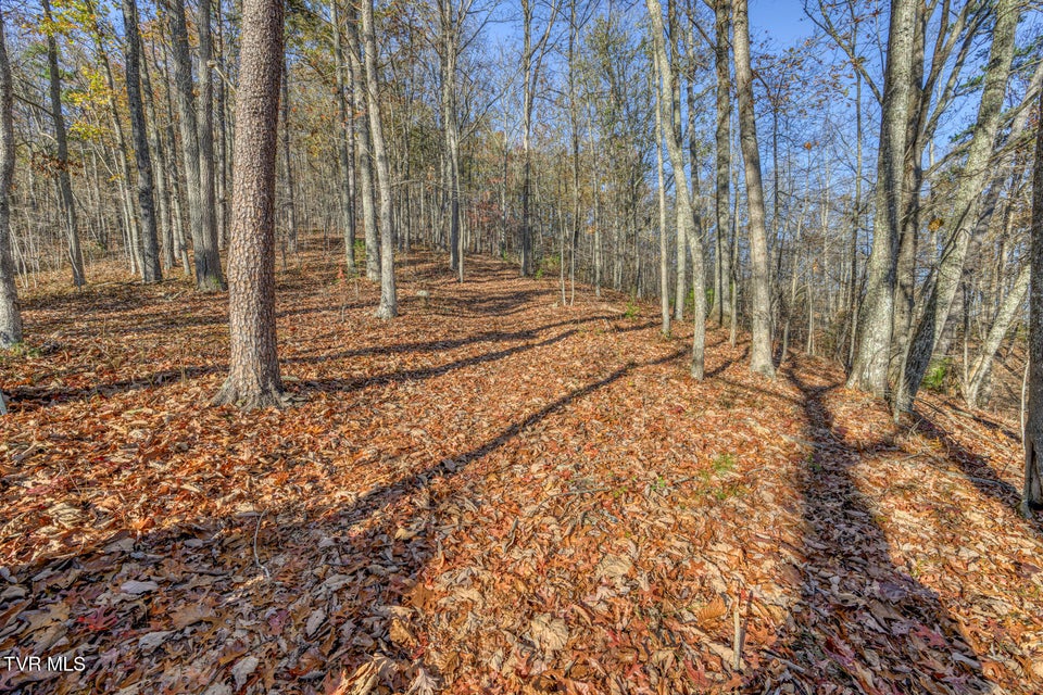 Photo #25: 697 Fishers Creek Road