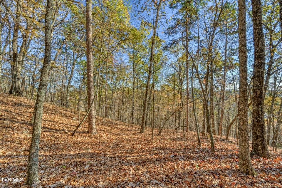 Photo #29: 697 Fishers Creek Road