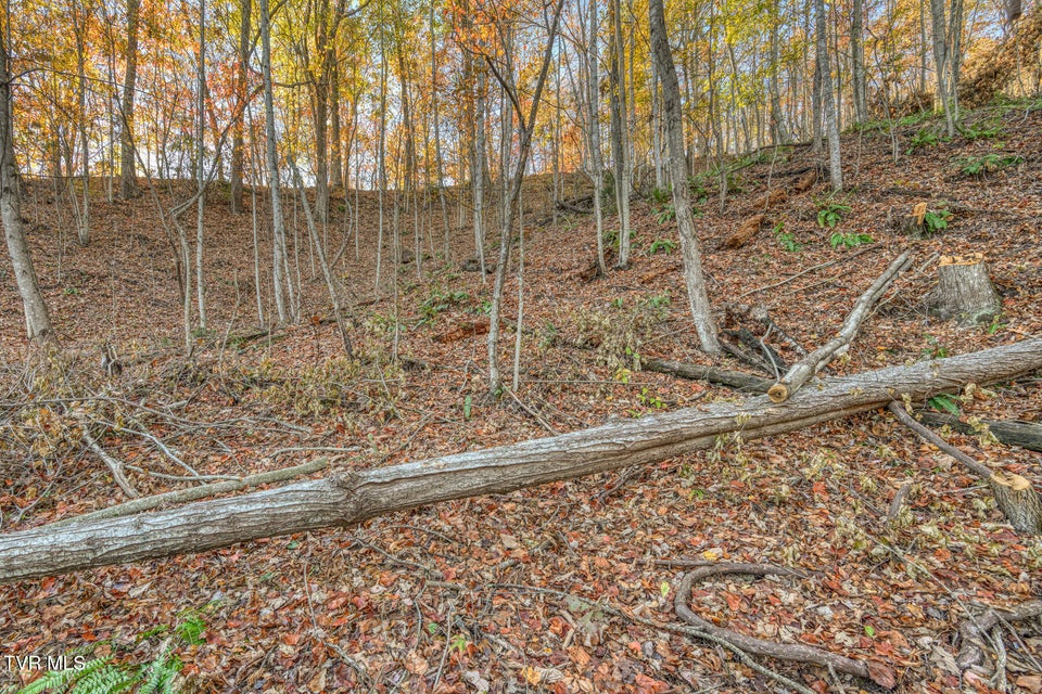 Photo #34: 697 Fishers Creek Road