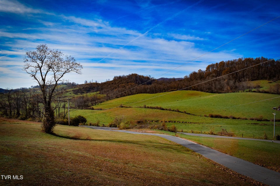 Photo #41: 17291 Childress Hollow Road