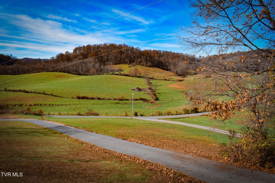 Photo #42: 17291 Childress Hollow Road