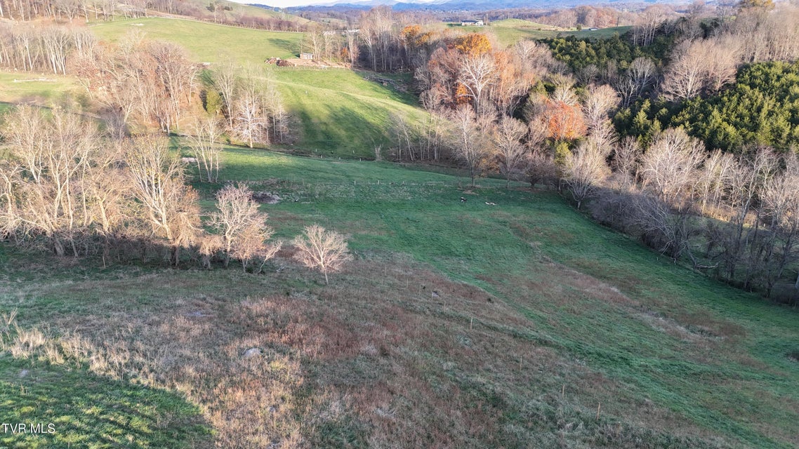 Photo #16: Tbd Spring Branch Road