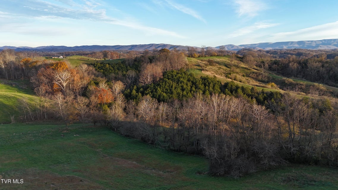 Photo #17: Tbd Spring Branch Road