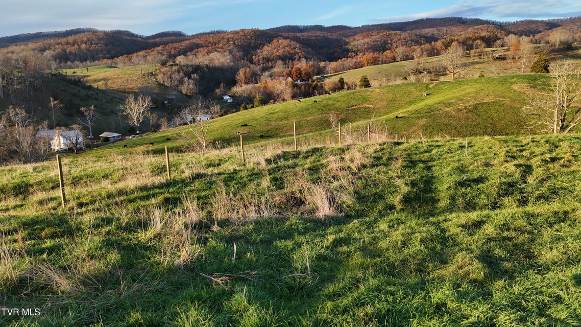 Photo #32: Tbd Spring Branch Road