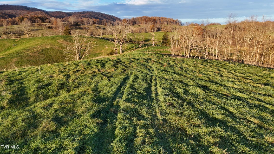 Photo #33: Tbd Spring Branch Road