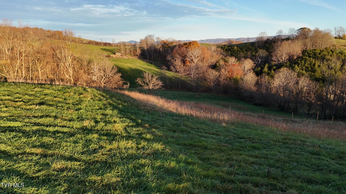 Photo #34: Tbd Spring Branch Road