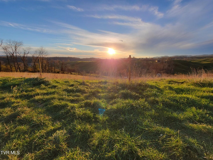 Photo #2: Tbd Spring Branch Road