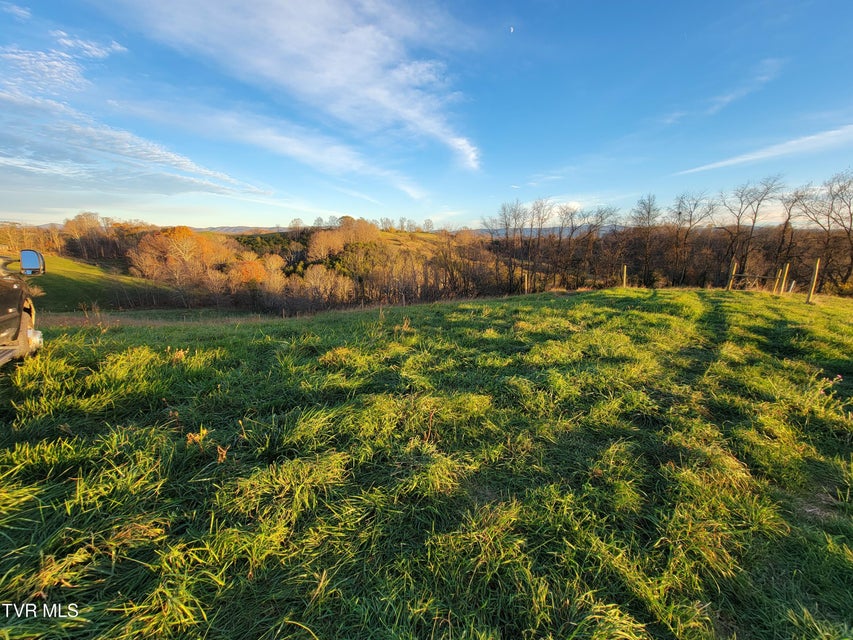 Photo #3: Tbd Spring Branch Road