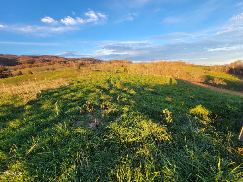 Photo #4: Tbd Spring Branch Road