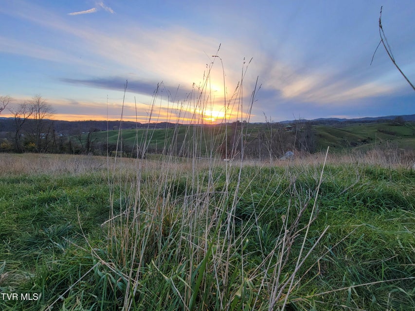 Photo #9: Tbd Spring Branch Road