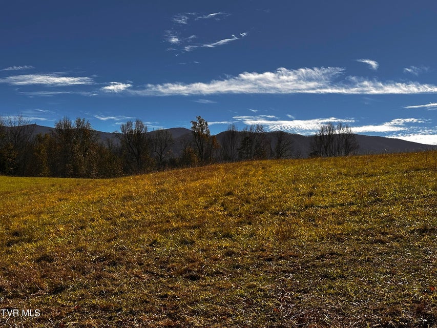 Photo #11: 0 Water Fork Road