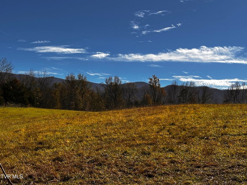 Photo #12: 0 Water Fork Road