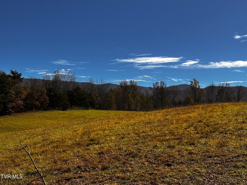 Photo #13: 0 Water Fork Road