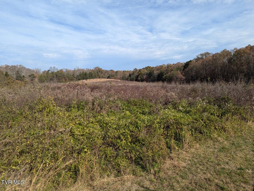 Photo #4: 18.61 Acre Off Wesley Chapel Road