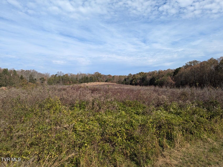 Photo #5: 18.61 Acre Off Wesley Chapel Road