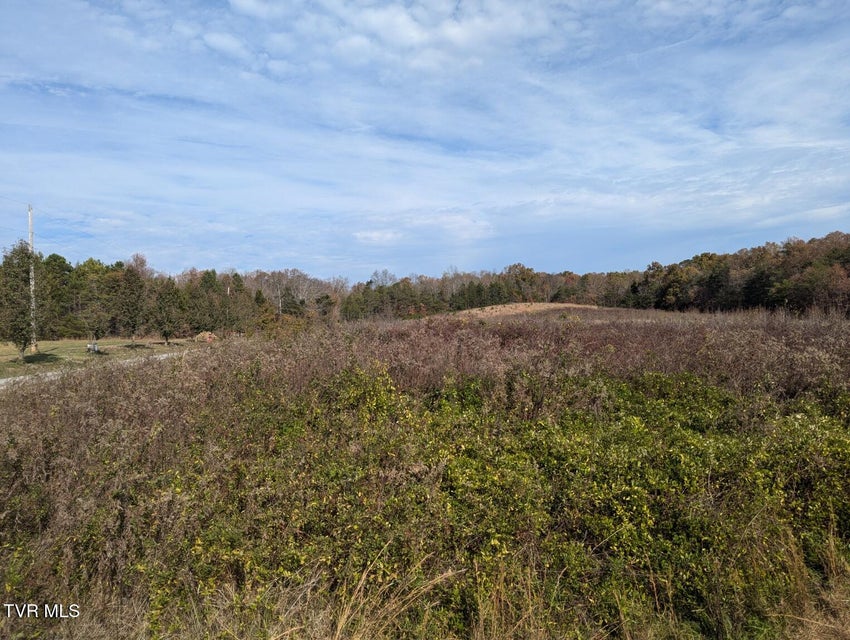 Photo #6: 18.61 Acre Off Wesley Chapel Road