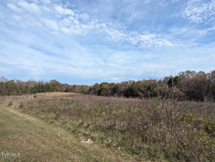 Photo #7: 18.61 Acre Off Wesley Chapel Road