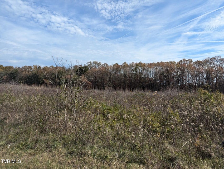 Photo #8: 18.61 Acre Off Wesley Chapel Road