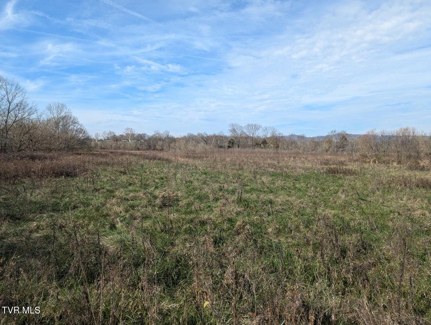 Photo #3: 26.6acres Wesley Chapel Road