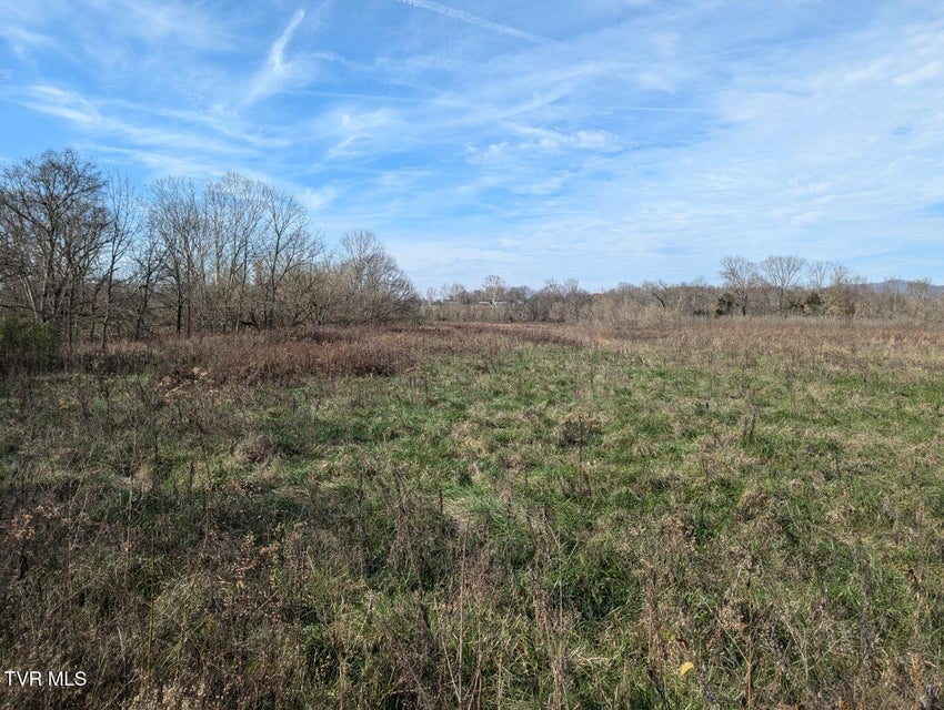 Photo #4: 26.6acres Wesley Chapel Road