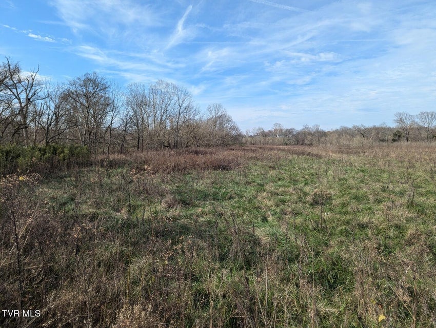 Photo #5: 26.6acres Wesley Chapel Road