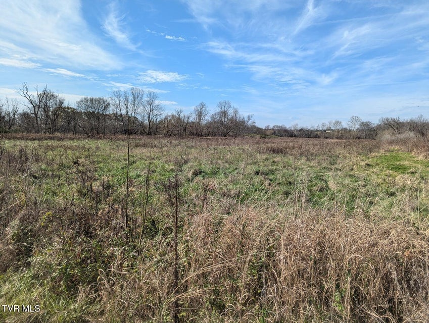 Photo #6: 26.6acres Wesley Chapel Road