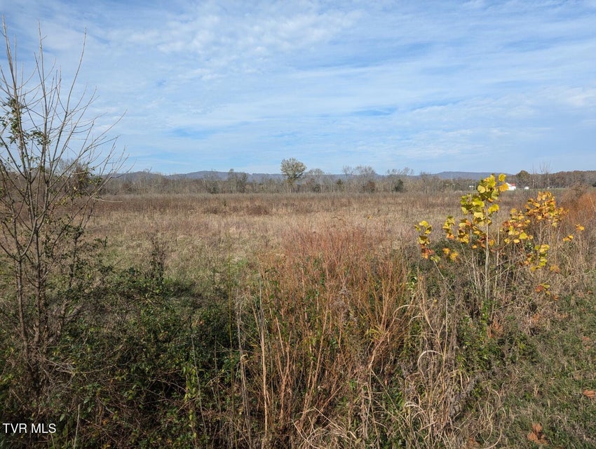 Photo #8: 26.6acres Wesley Chapel Road