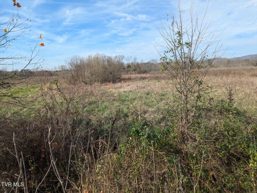 Photo #10: 26.6acres Wesley Chapel Road