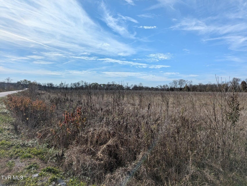 Photo #11: 26.6acres Wesley Chapel Road