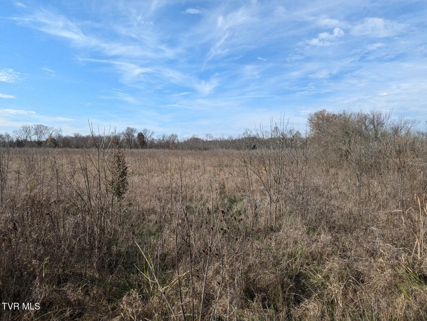 Photo #12: 26.6acres Wesley Chapel Road