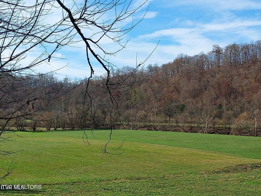 Photo #4: 884 Clinch River Circle