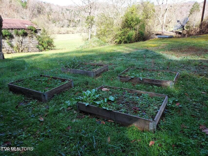 Photo #16: 884 Clinch River Circle